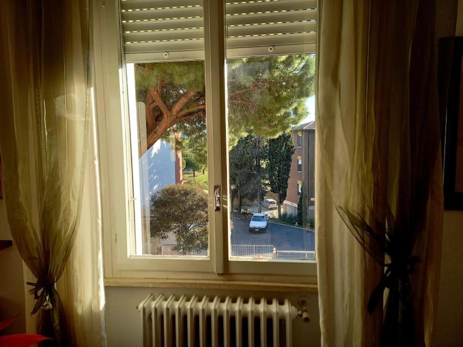 Casa Lola Apartment Livorno Bagian luar foto